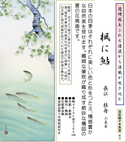 Amazon｜掛け軸 掛軸 夏 長江桂舟・楓と鮎 尺三 花鳥画｜仏間・神道用